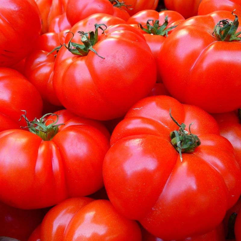 Red Brandywine Tomato - Gardening Plants And Flowers