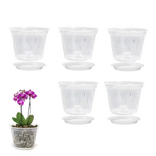 Load image into Gallery viewer, Orchid Pots - Gardening Plants And Flowers