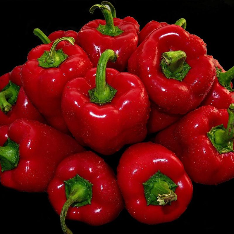 Red bell peppers with green stems on a black background