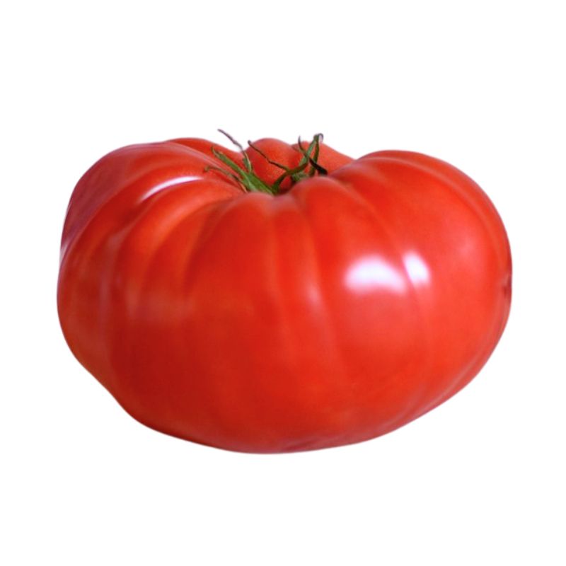 Red Brandywine Tomato - Gardening Plants And Flowers