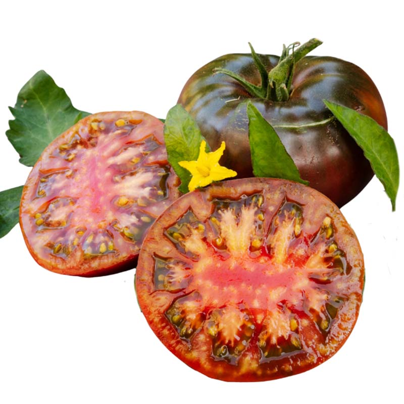 Tomato Black Krim Seeds  Gardening Plants And Flowers