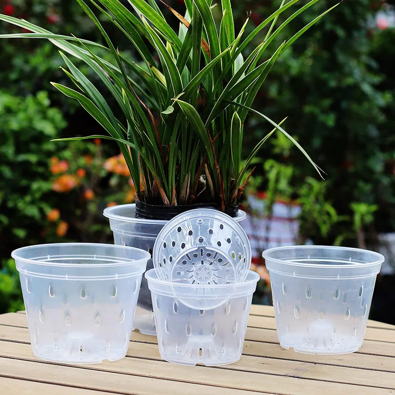 transparent orchid plant pots Orchid Pots Transparent Container Pot Planter w/Drainage