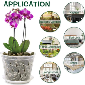 transparent orchid pots - Gardening Plants And Flowers