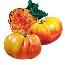 Load image into Gallery viewer, heirloom flame tomatoes - Gardening Plants And Flowers