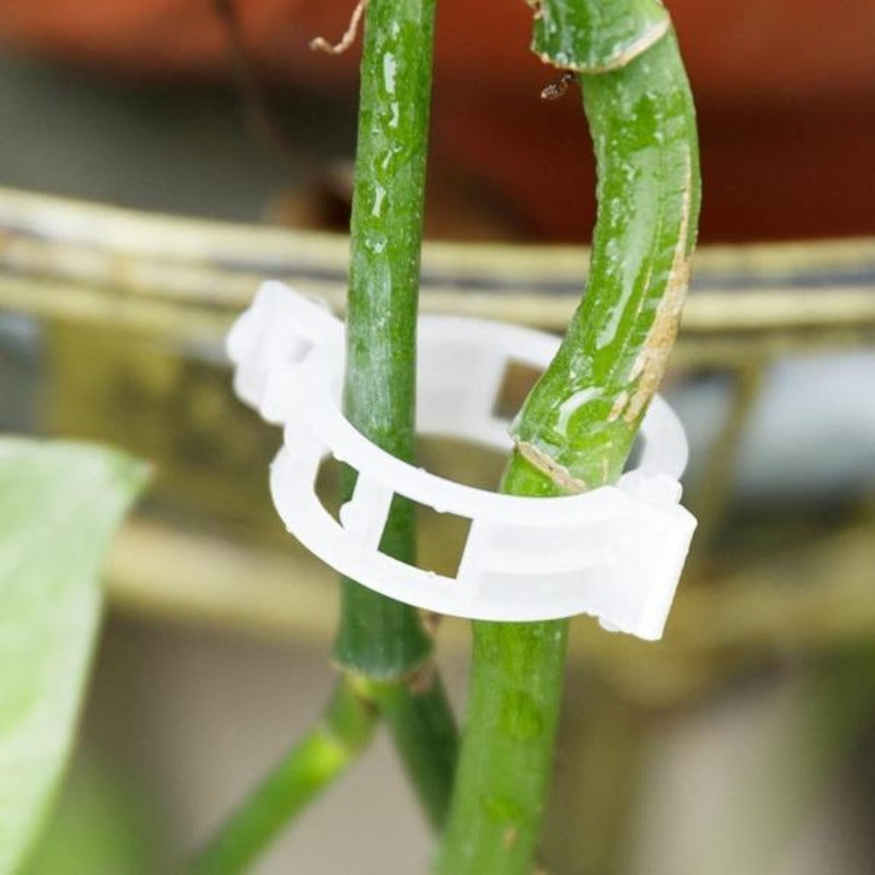 plant ties for trellis Reusable Plant Clips Trellis Plant Support Vines Veggie Garden Supplie – Gardening Plants And Flowers