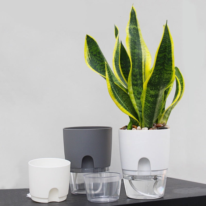 self water potted plants 2 Layer self watering plant pot can store water in the lower part. – Gardening Plants And Flowers
