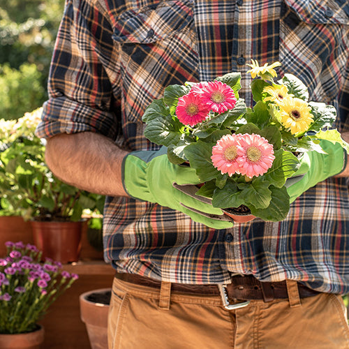 Benefits Of Gardening At Home