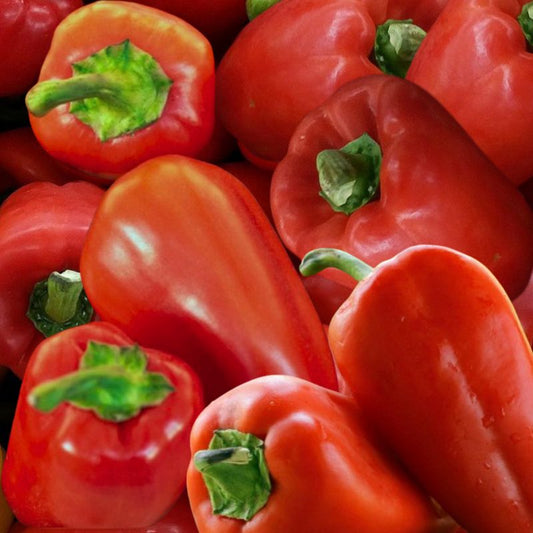 Close-up of red bell peppers with green stems.