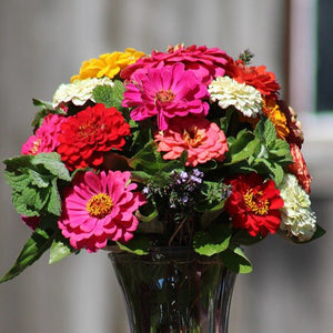 zinnia bouque - Gardening Plants And Flowers