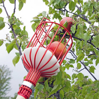 fruit picker head - Gardening Plants And Flowers