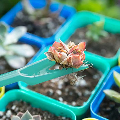 Small succulent seedling lifted by a teal seedling shovel from a colorful seed starter kit pot.