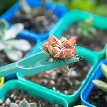 Load image into Gallery viewer, Biodegradable Pots - Gardening Plants And Flowers