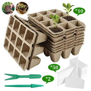 seed starter kit - Gardening Plants And Flowers