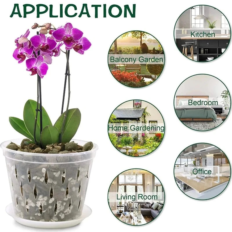 transparent orchid pots - Gardening Plants And Flowers