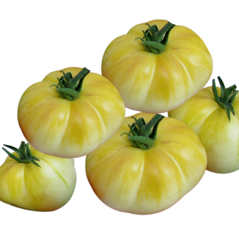 Tomato White Seeds - Heirloom Organic