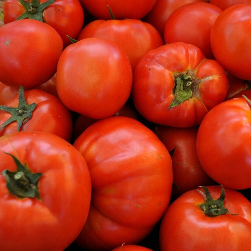 Beefsteak Tomato seeds - Gardening Plants And Flowers