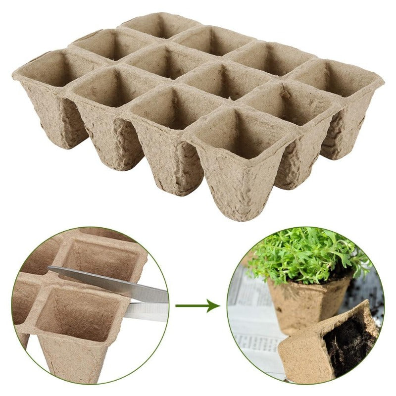 best seed starter trays - Gardening Plants And Flowers