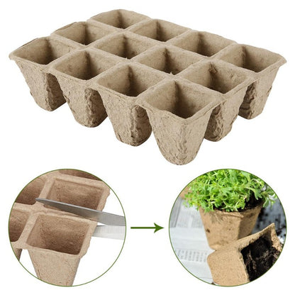 best seed starter trays - Gardening Plants And Flowers