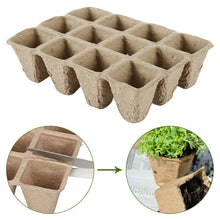 Load image into Gallery viewer, best seed starter trays - Gardening Plants And Flowers