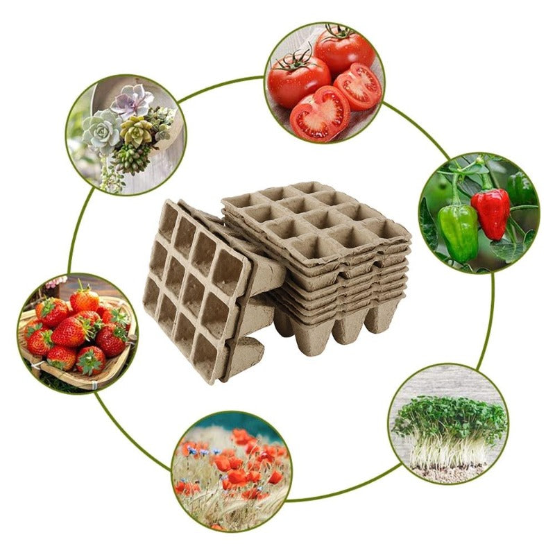 biodegradable seed trays - Gardening Plants And Flowers