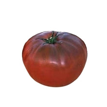 Load image into Gallery viewer, Brandywine Black Tomato - Gardening Plants And Flowers