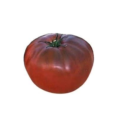 Brandywine Black Tomato - Gardening Plants And Flowers