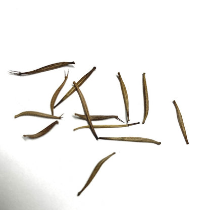 Chocolate Cosmos Seeds - Gardening Plants And Flowers