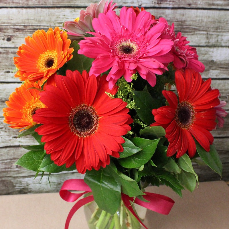 gerbera mix seeds - Gardening Plants And Flowers