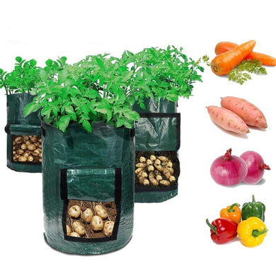 grow bags - Gardening Plants And Flowers