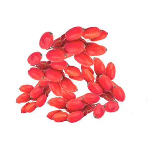 Goji Berry Wolfberry Plant Seeds - Gardening Plants And Flowers