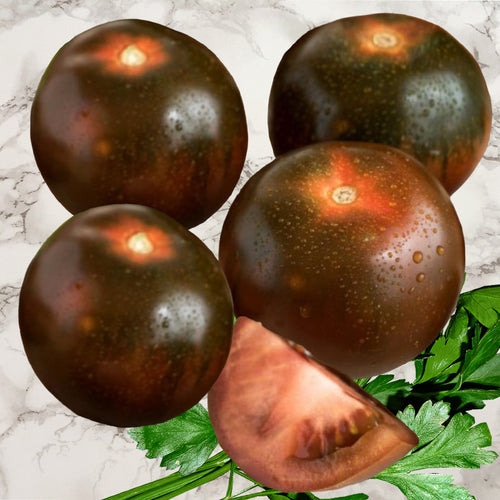 black tomato seeds - Gardening Plants and Flowers