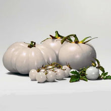 Load image into Gallery viewer, white tomato - Gardening Plants And Flowers