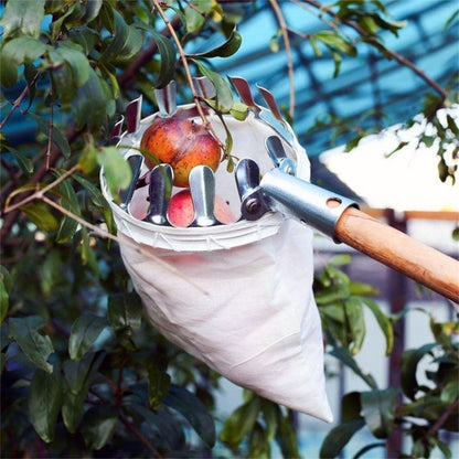 fruit harvester - Gardening Plants And Flowers