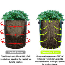 Load image into Gallery viewer, best potato grow bags - Gardening Plants And Flowers