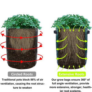 best potato grow bags - Gardening Plants And Flowers