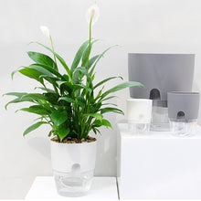 Load image into Gallery viewer, indoor self watering plant pots - Gardening Plants And Flowers