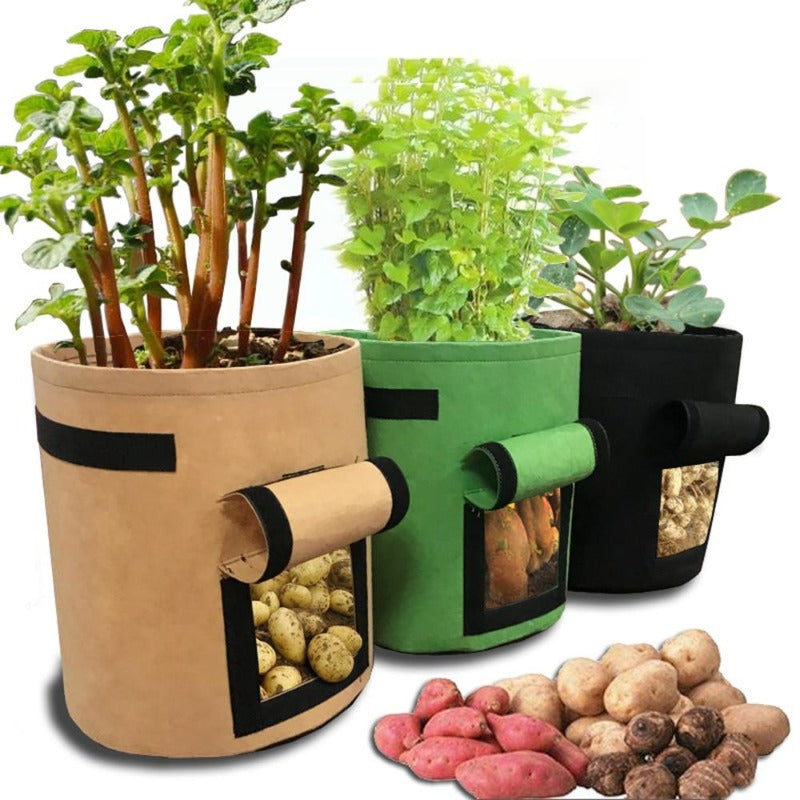 plant grow fabric bag - Gardening Plants And Flowers