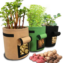 Load image into Gallery viewer, plant grow container - Gardening Plants And Flowers