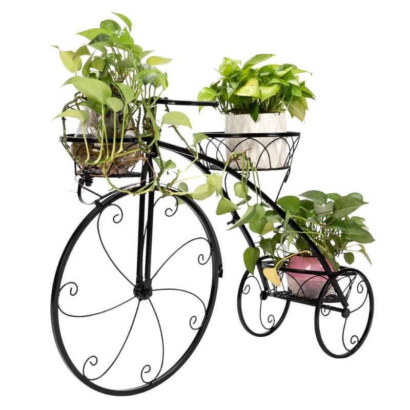 plant stand - Gardening Plants And Flowers