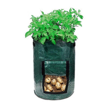 Load image into Gallery viewer, plant grow bag - Gardening Plants And Flowers