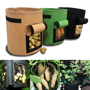 potato grow sacks - Gardening Plants And Flowers