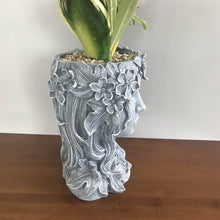 Load image into Gallery viewer, resin pots - Gardening Plants And Flowers