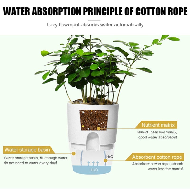 self watering patio planter - Gardening Plants And Flowers