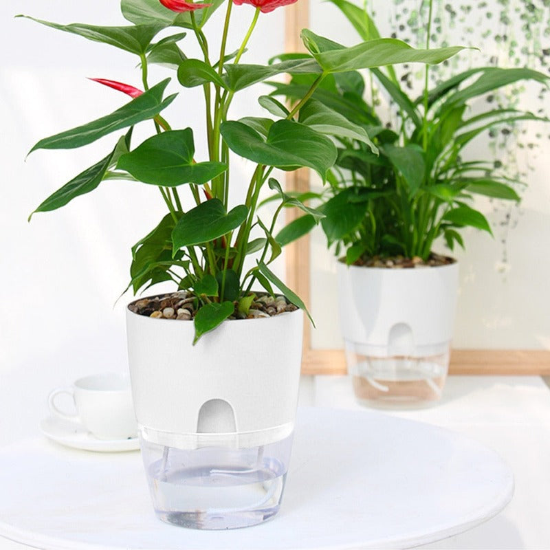 self watering plant pots - Gardening Plants And Flowers