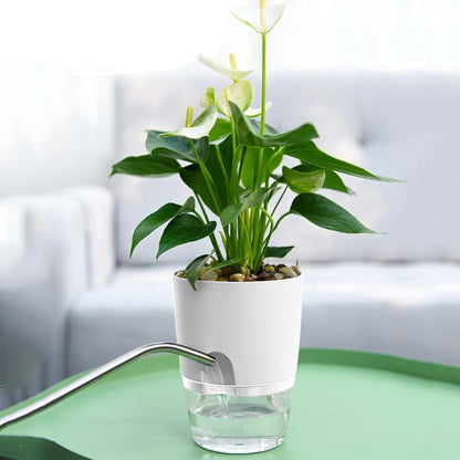 self watering pot planters - Gardening Plants And Flowers