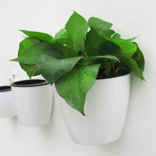 Load image into Gallery viewer, self watering basket - Gardening Plants And Flowers