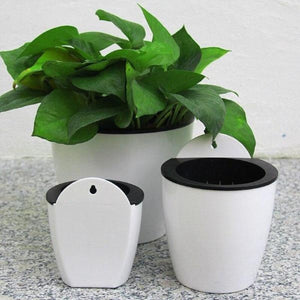 self watering planters - Gardening Plants And Flowers