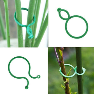 plant support clips - Gardening Plants And Flowers