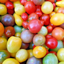 Load image into Gallery viewer, colorful tomato cherry - Gardening Plants And Flowers