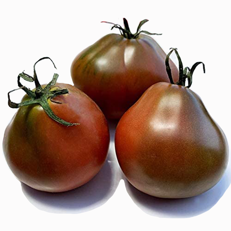 Tomato Japanese Trifele Black Organic 100 Seeds